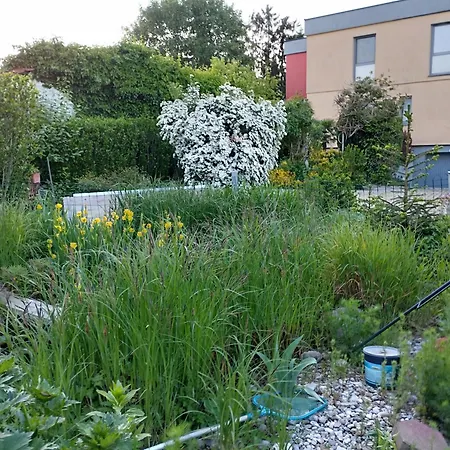 Haus Zum Badeteich Διαμέρισμα Neubach