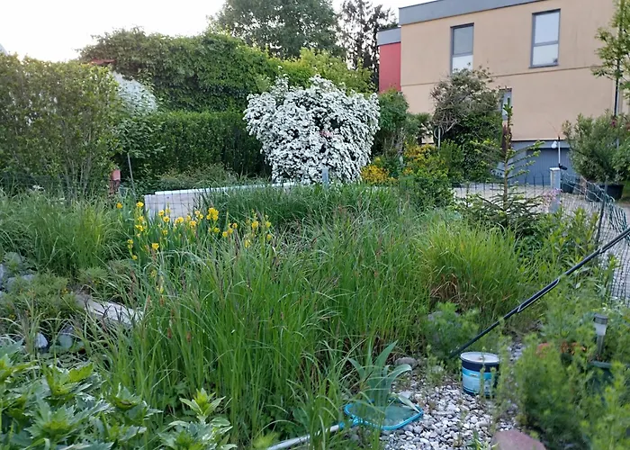 Haus Zum Badeteich Apartment Neubach