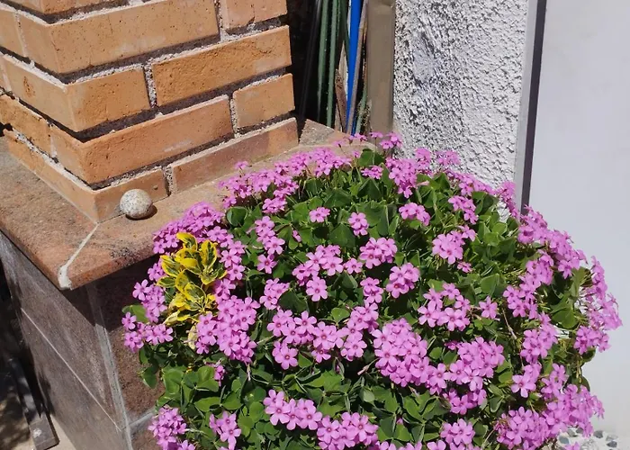 Haus Zum Badeteich *